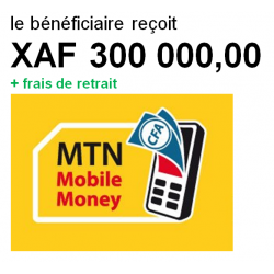 MTN MONEY 300 000 FCFA